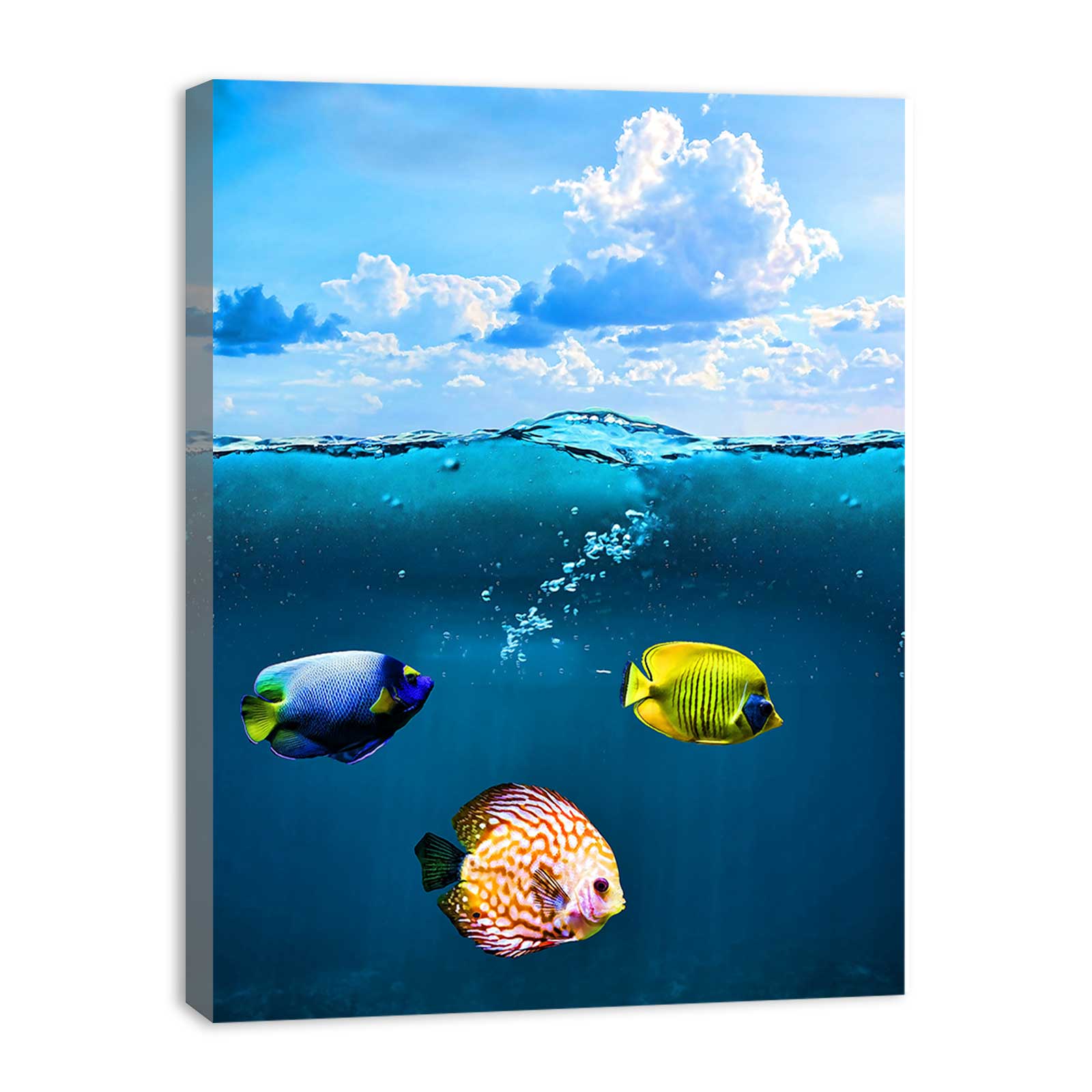 Colorfull Fish Painting