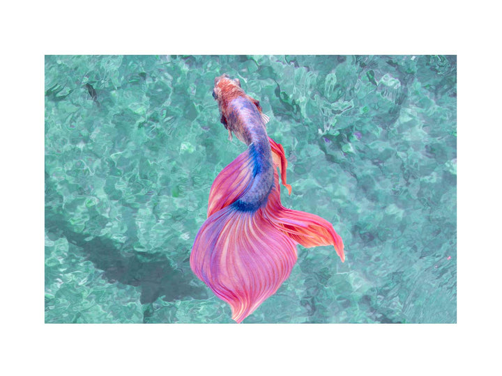 Blue And Pink Sea Fish Painting