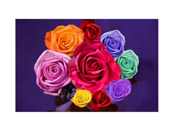 Colorfull Roses Painting