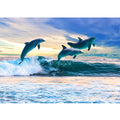 Blue Dolphin Painting