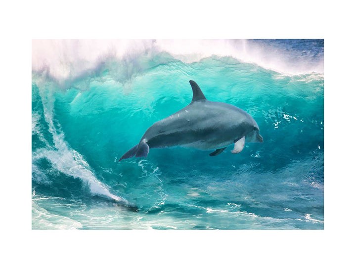 Dolphin Painting