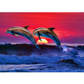 Sunrise Dolphin Painting