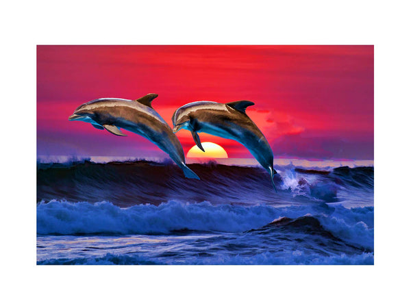 Sunrise Dolphin Painting