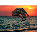 Four Dolphin dancing on water Painting
