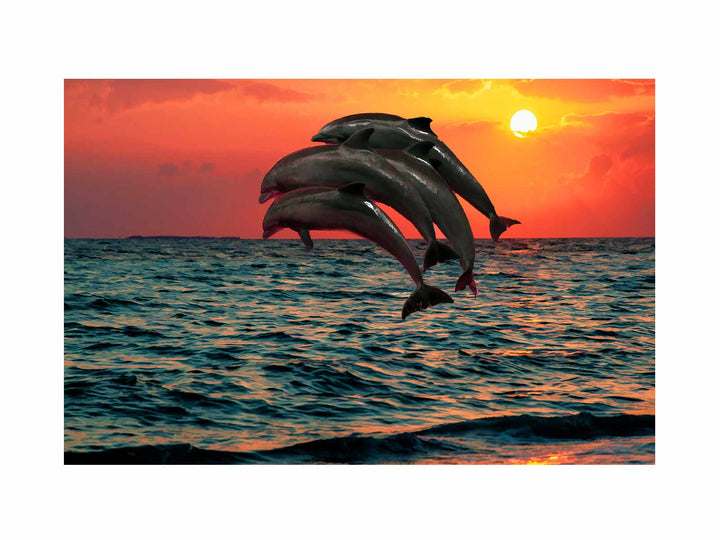 Four Dolphin dancing on water Painting