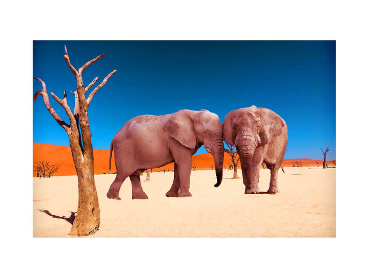 Africa Elephant Painting