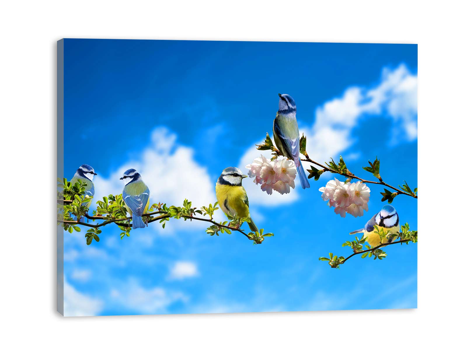 Bird And Sky Painting