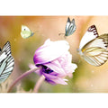 Butterfly Painting