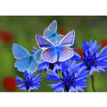Blue And White Butterfly Painting