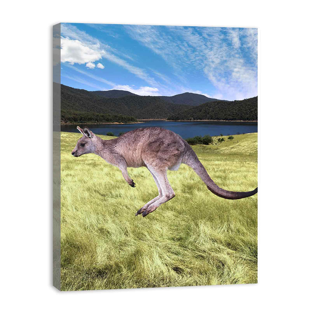 kangaroo Painting