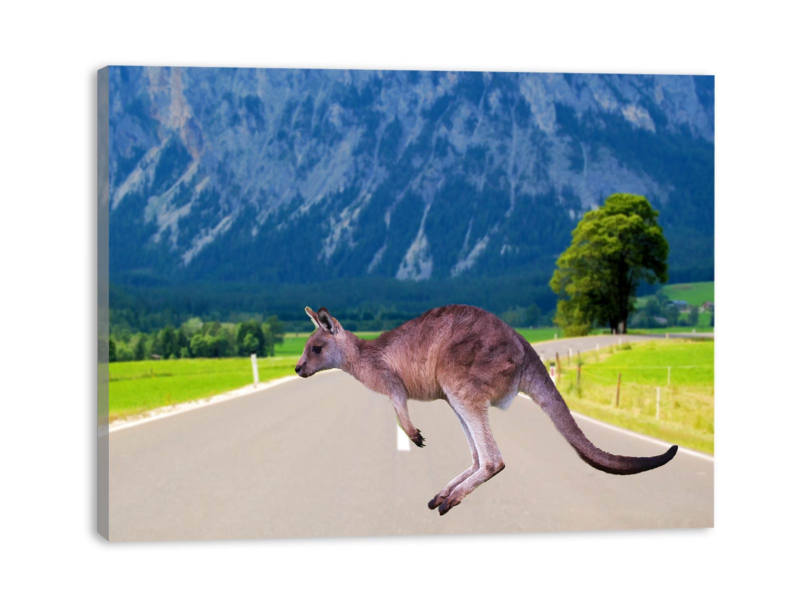 Running kangaroo Painting