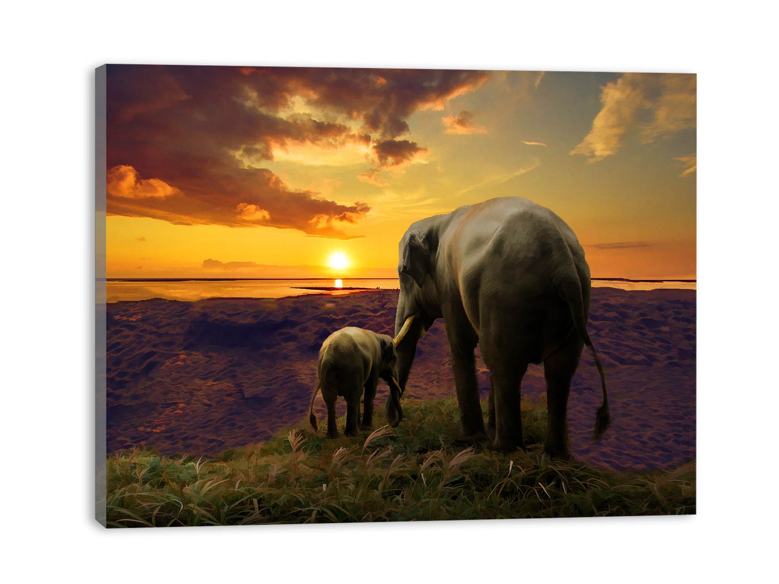 Elephant Love Painting