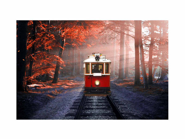 Red Tram in Forest  Painting