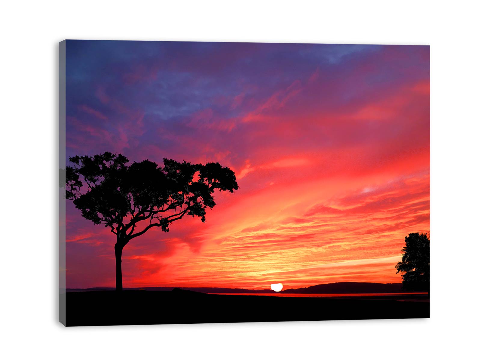 Tree and Sunset Painting