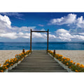 Path to sea Painting