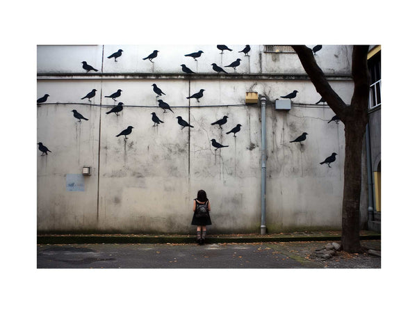 Graffiti Birds Flying Street Art 