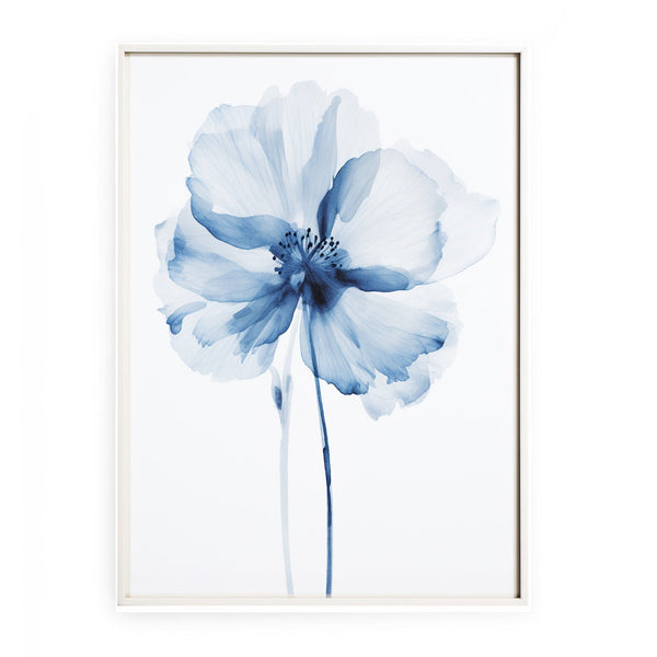 Blue Watercolor Flower Fine Art 